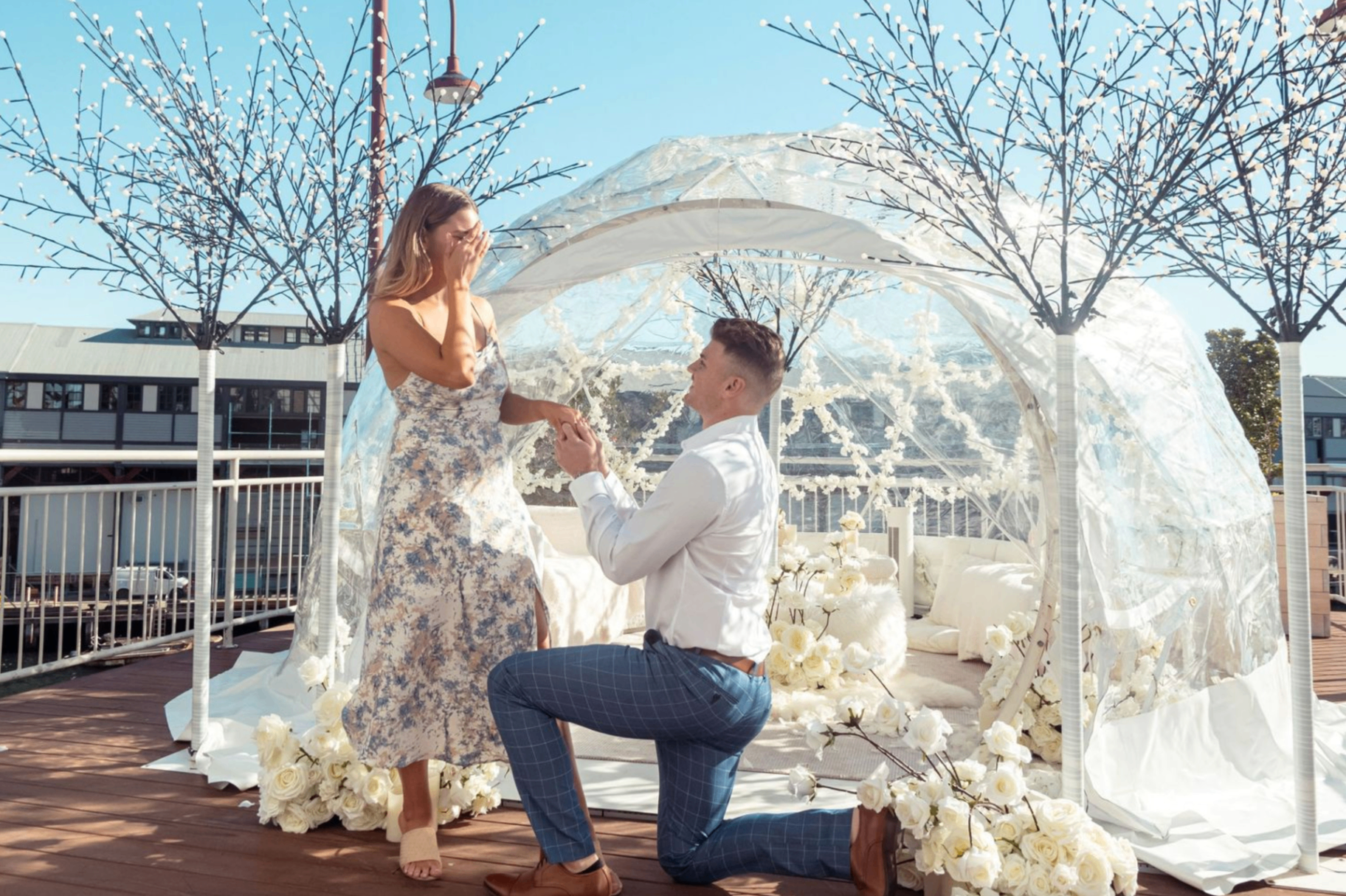 Elegant proposal setup